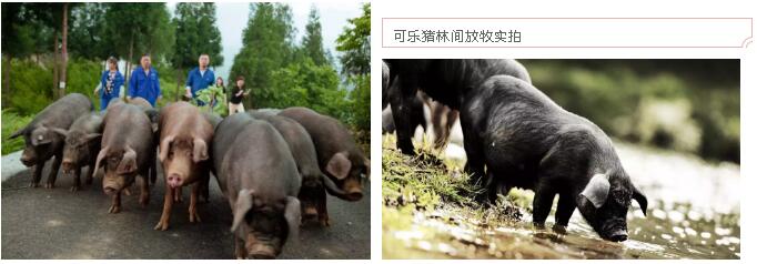 钱柜qg777(中国区)唯一官方网站