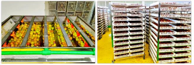 钱柜qg777(中国区)唯一官方网站