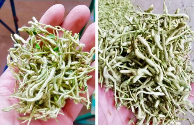 钱柜qg777(中国区)唯一官方网站