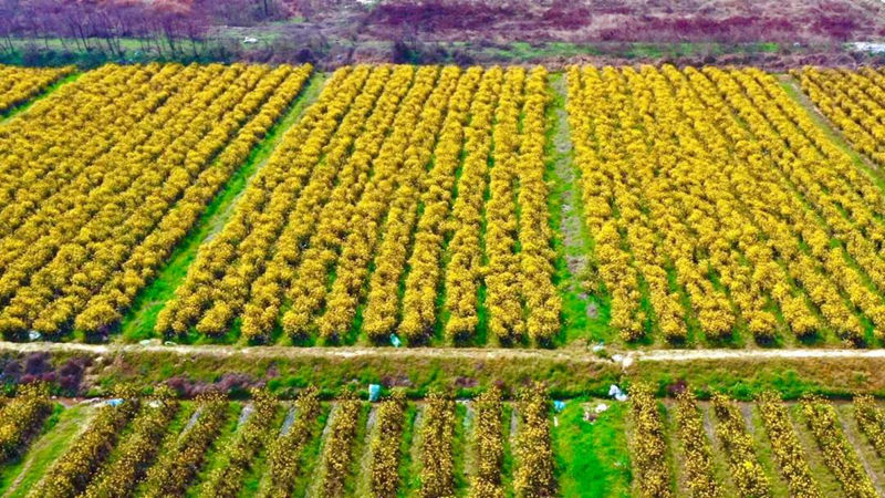 钱柜qg777(中国区)唯一官方网站