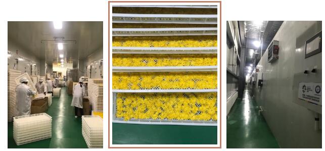 钱柜qg777(中国区)唯一官方网站